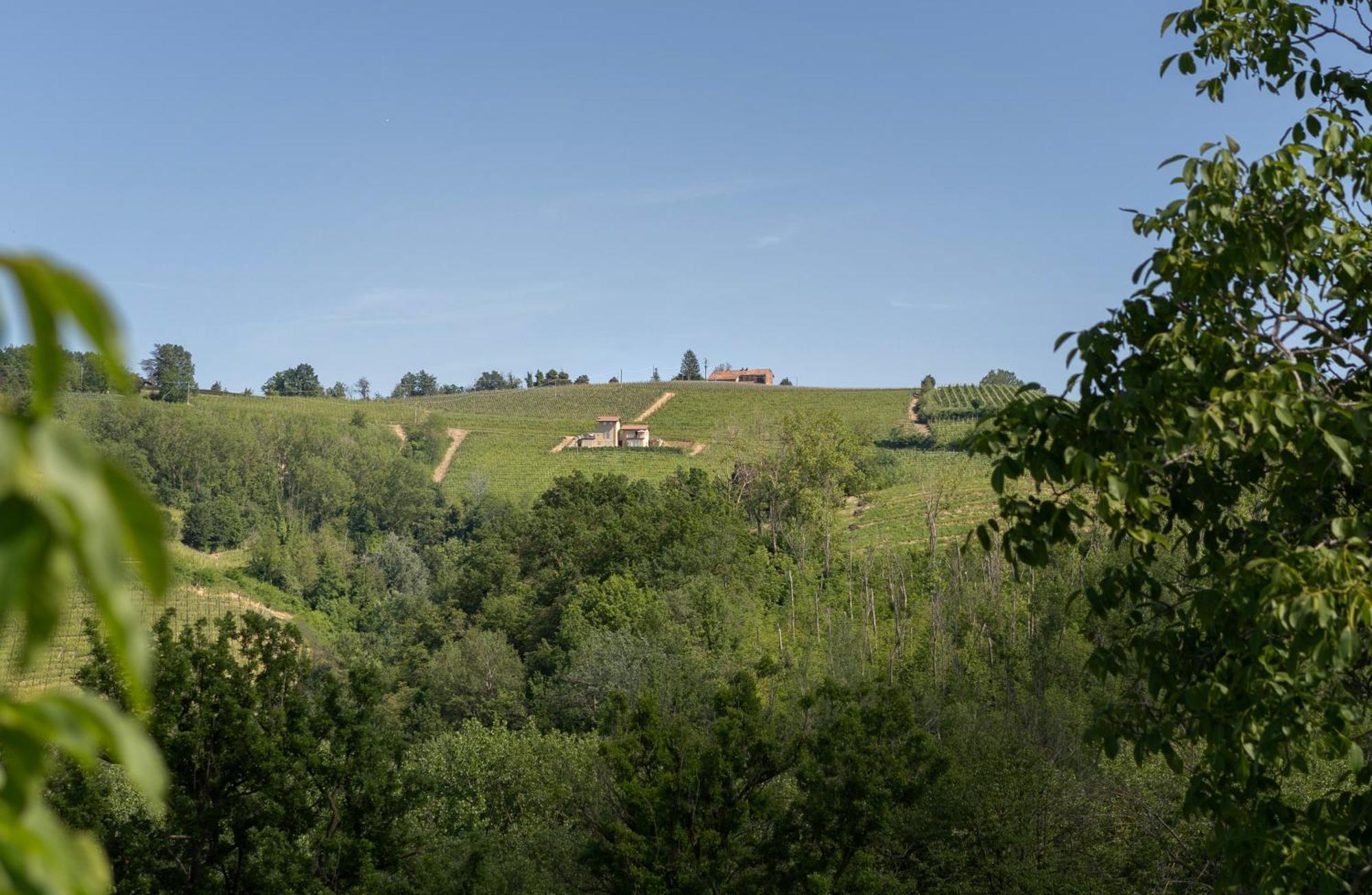 Monforte dʼAlba I Ciabot Di Monforte מראה חיצוני תמונה